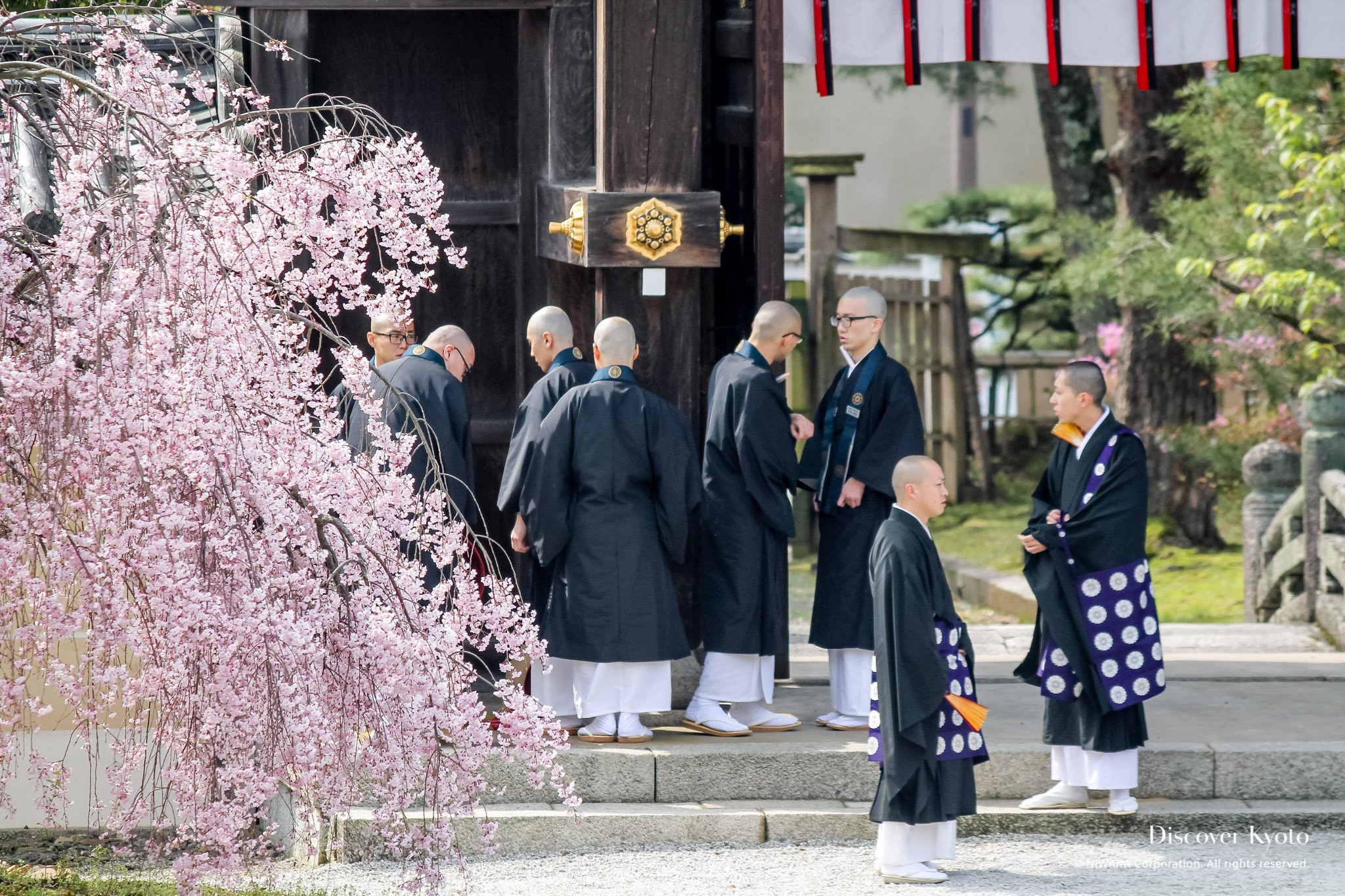 ⛩️ 대흥사 (다이코지) 이미지 5
